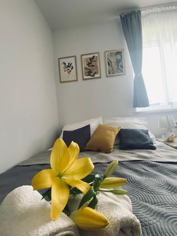 Apartamenty Majka Затор Екстер'єр фото